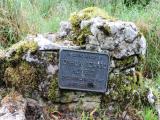 image of grave number 648759
